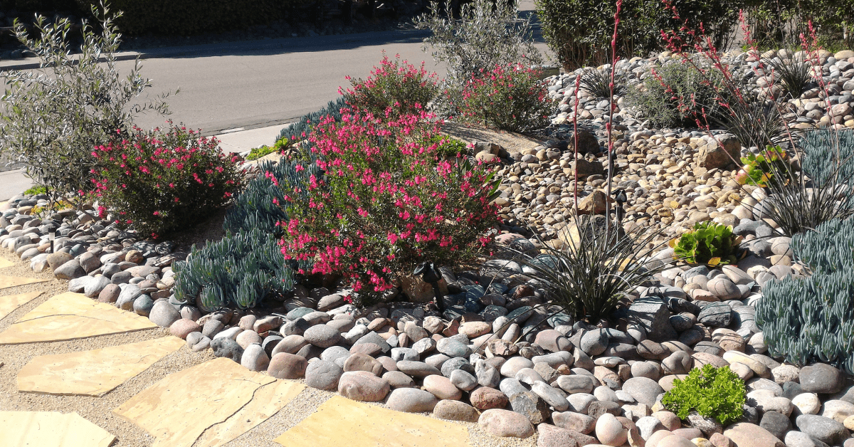 Achieve the Ideal Desert Landscape for Your Front Yard with Xeriscaping