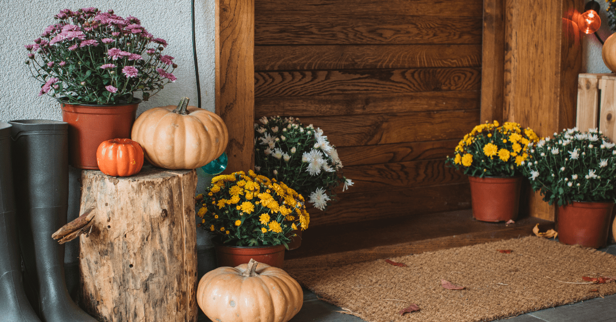 Top Plant Picks for a Fabulous Fall Front Door