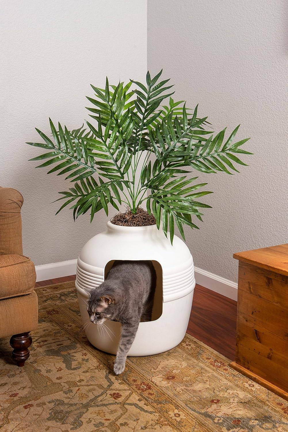 Creative Ways to Conceal Your Hidden Litter Box