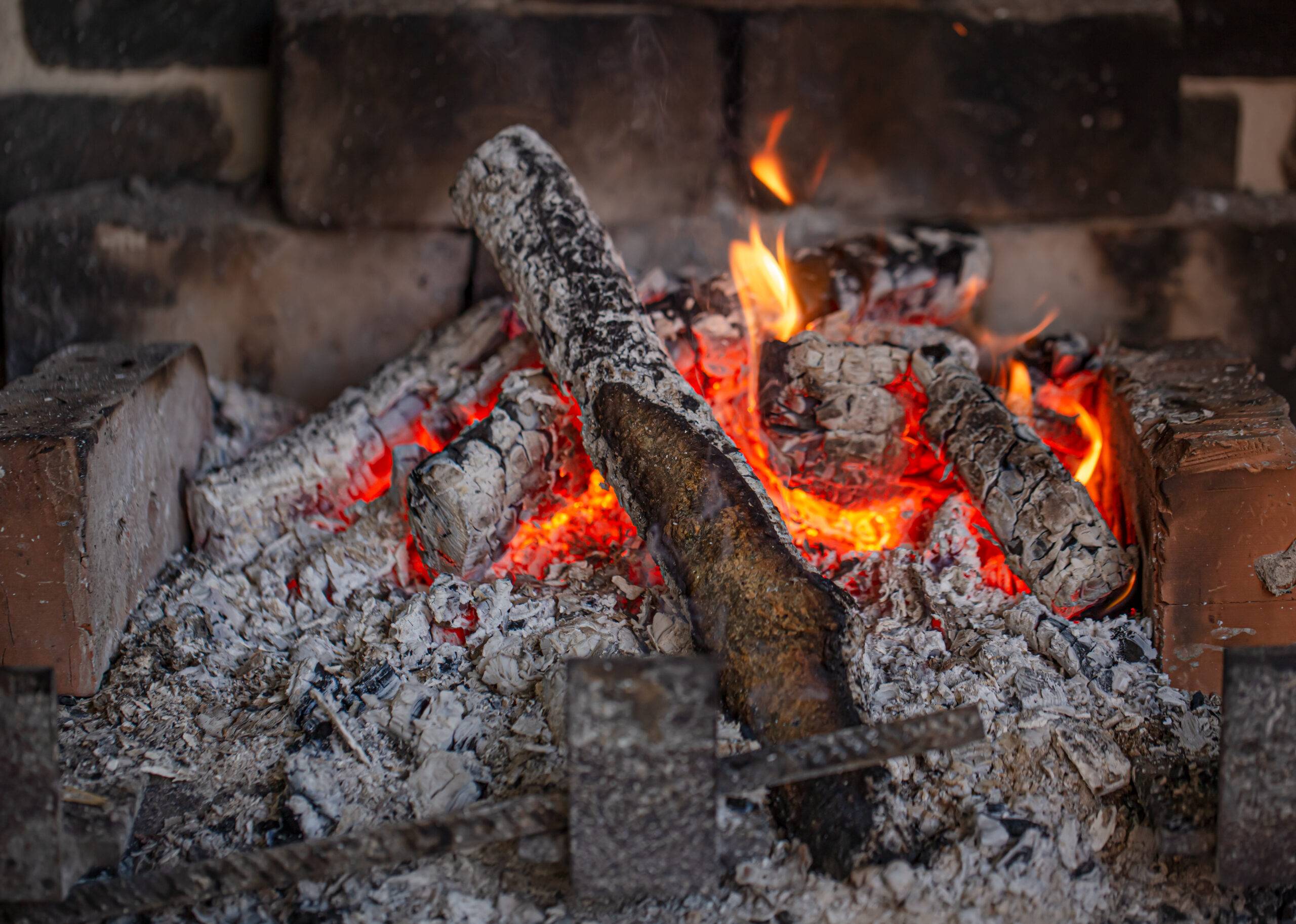 Clever Ways To Reuse Fireplace Ashes